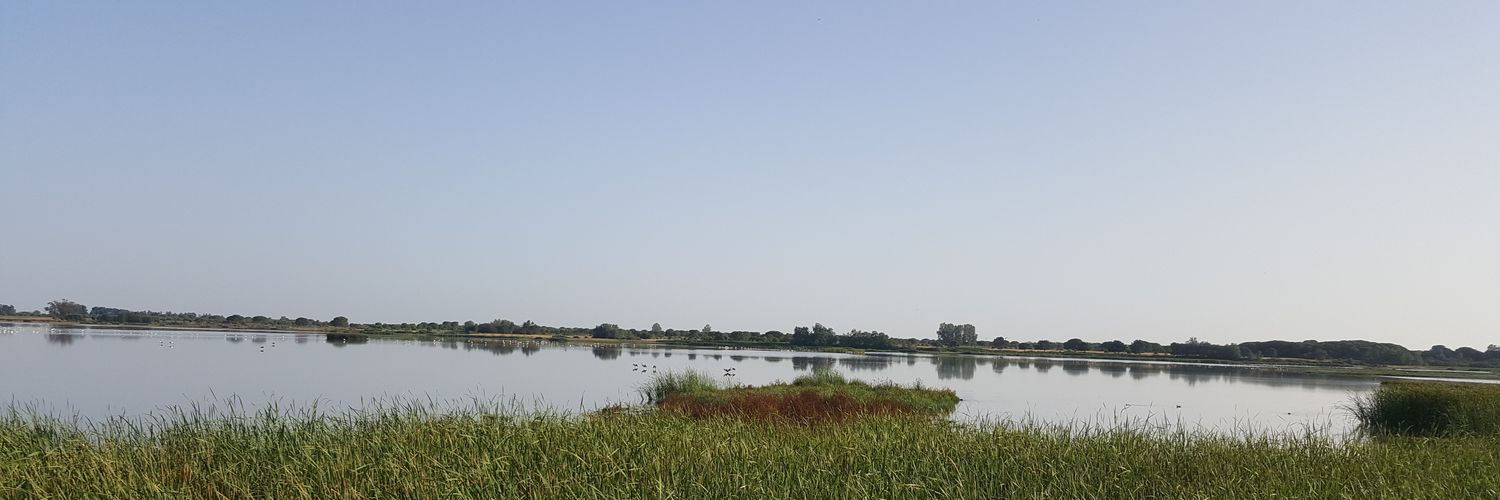 PEDRO JOSE PEREZ banner