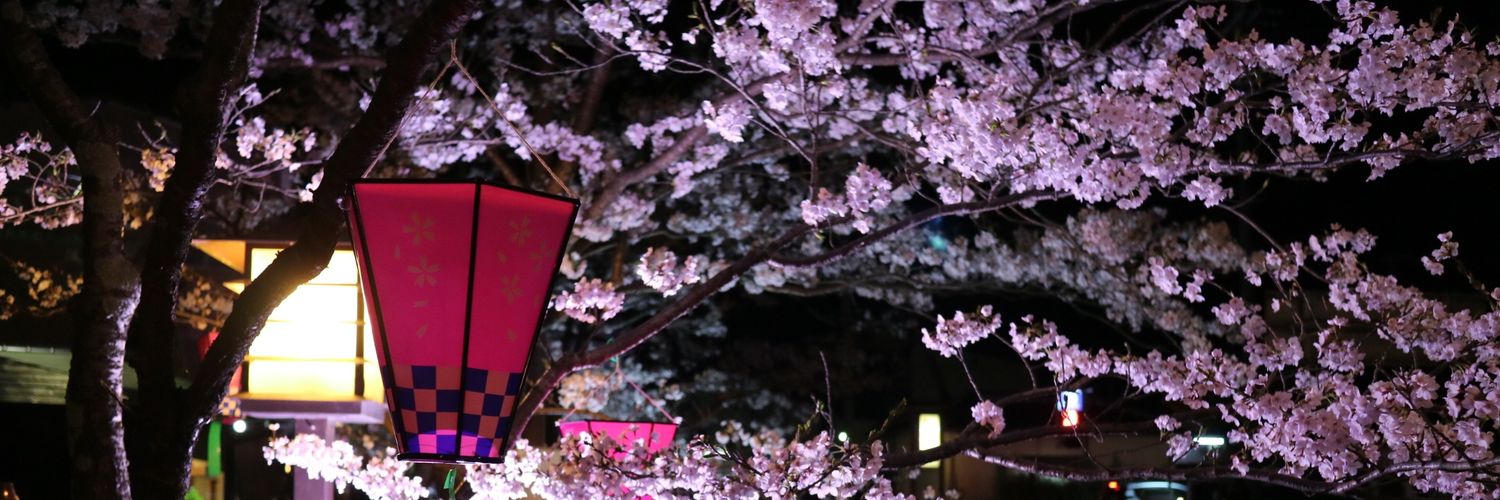 244_akane's profile banner image