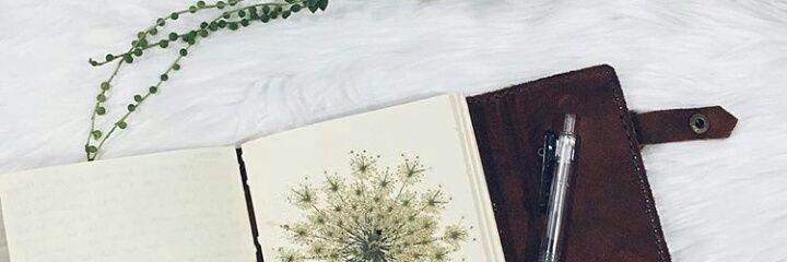 onetwothreena's profile banner image