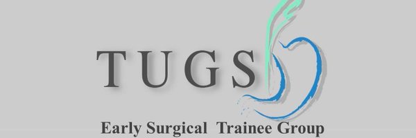 TUGSESTgroup Profile Banner