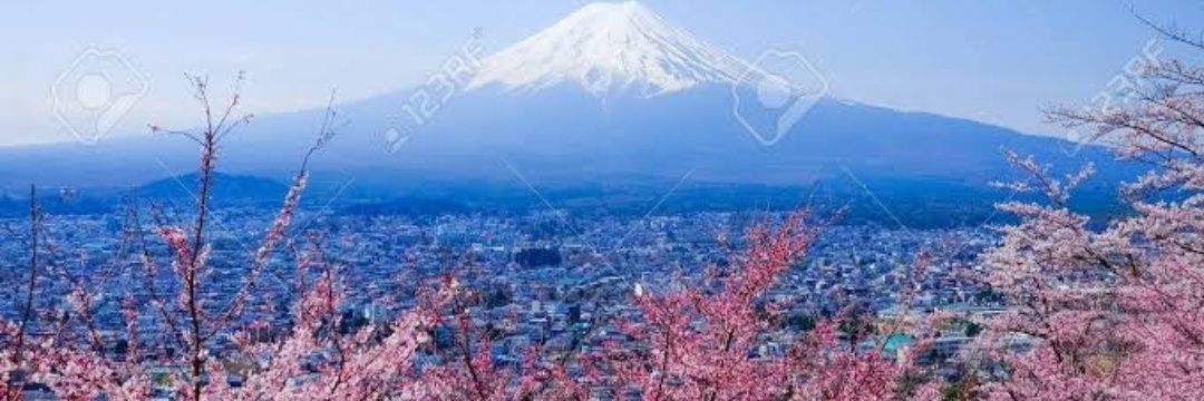 César Mogollón banner