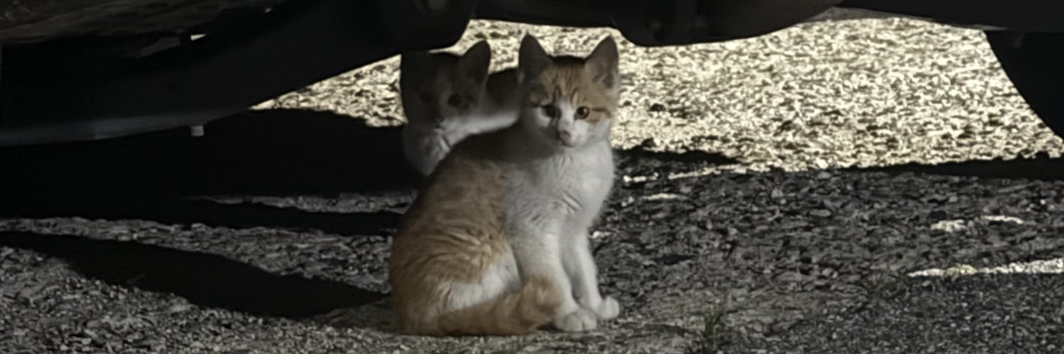 mcsubbb's profile banner image