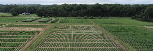 UGAPnutBreeding Profile Banner