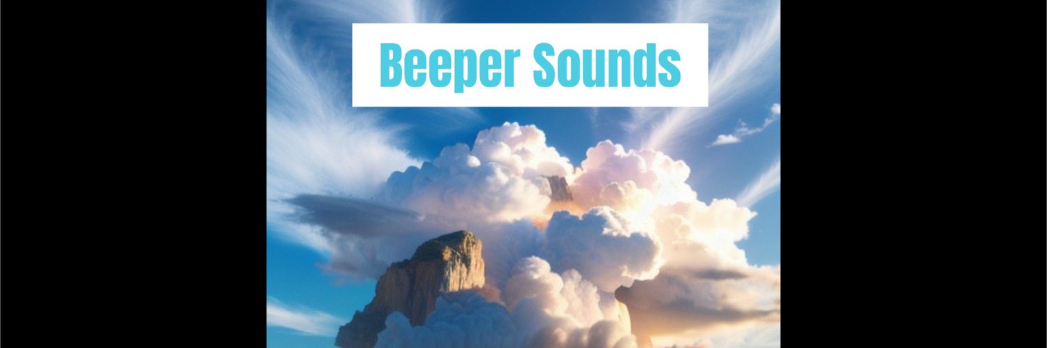 Shuichiro Suzuki a.k.a Beeway20 banner