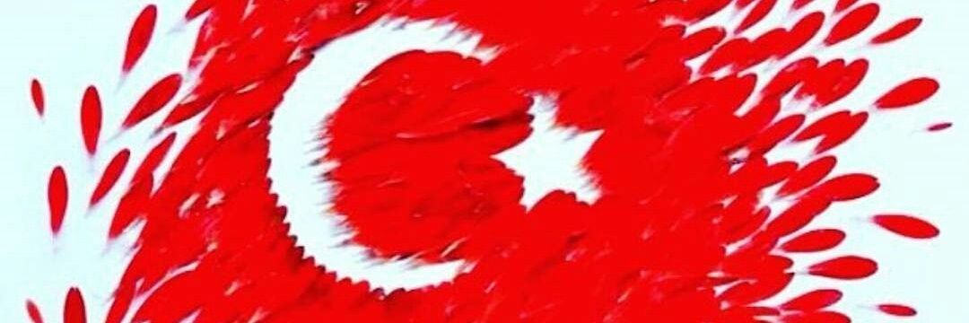 Sebocu_Merve's profile banner image