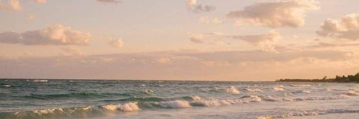 datlamelady's profile banner image