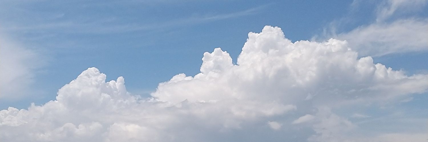 naatsuusub's profile banner image