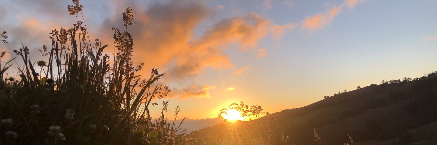 MoyaGary96's profile banner image