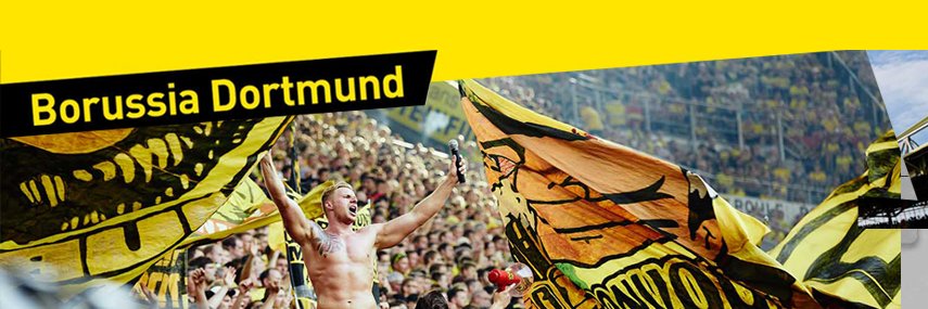 BVB09ID's profile banner image