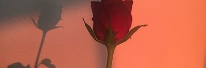 BabySugarFeet's profile banner image