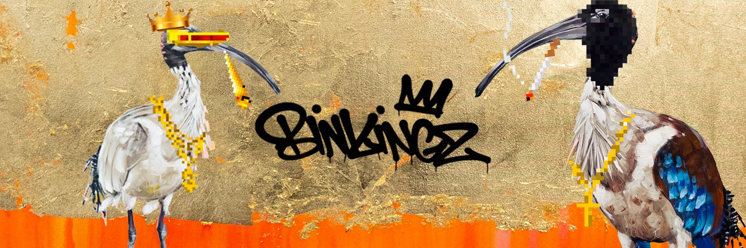 Bin Kingz 🇦🇺 banner
