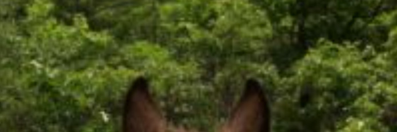 MickMonroe's profile banner image