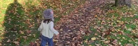 Michael Margolis banner