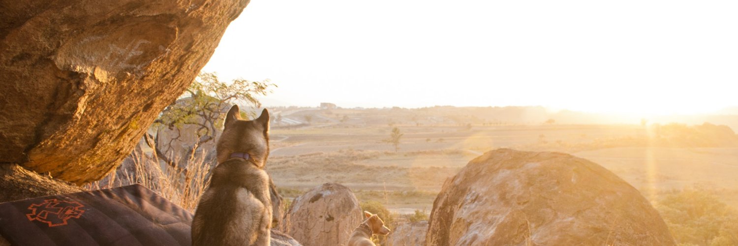 JillianLettuce's profile banner image