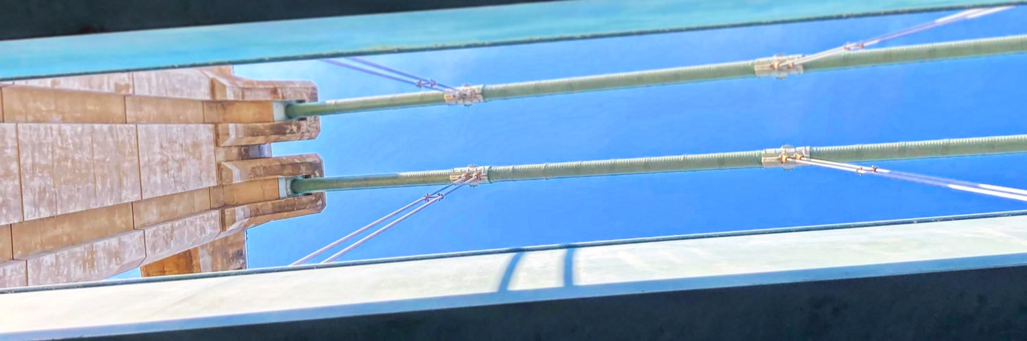 Rick A.bot 🦁 banner