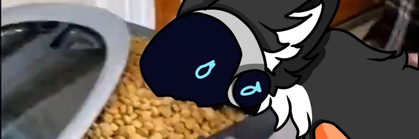 Grace banner