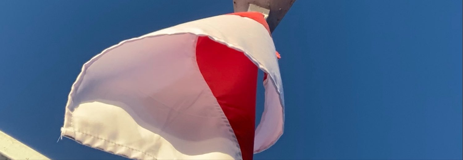 icalzl's profile banner image