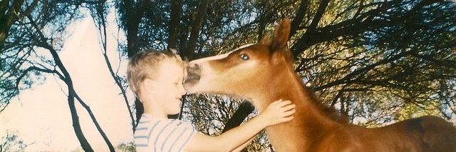 rainbowstains's profile banner image
