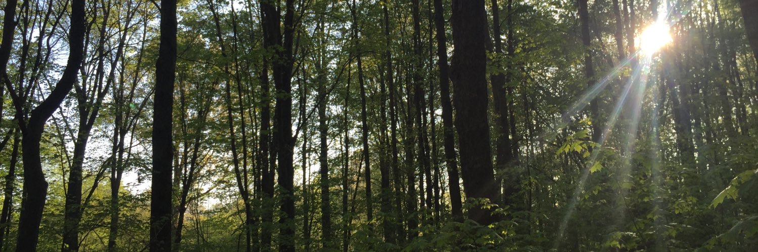 rpkirschner's profile banner image