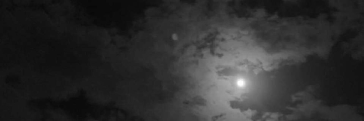 lliax4_'s profile banner image
