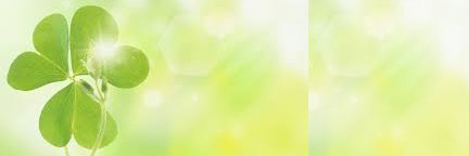 TĐC Tabi 🟧 banner