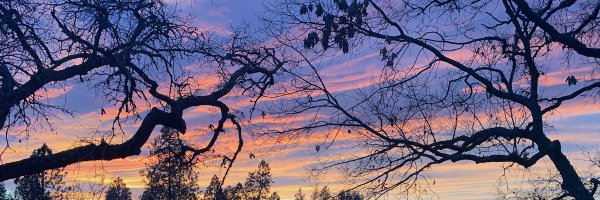 iamsamwood Profile Banner