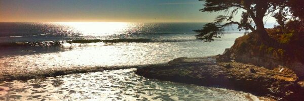 TimLobes Profile Banner