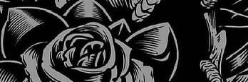 SilverSnowe's profile banner image