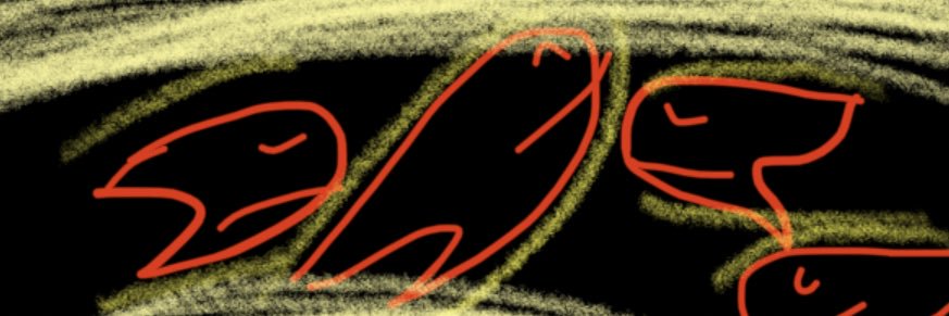 HusainBach's profile banner image