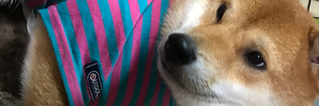 tennechan's profile banner image