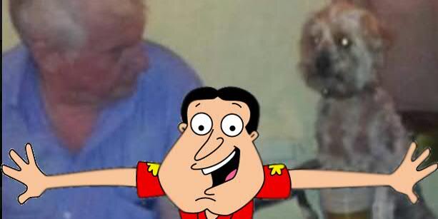 Dave Pittam banner