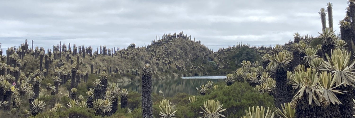tedecoca_'s profile banner image