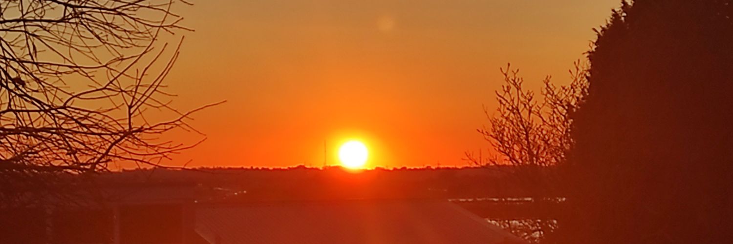 TigerMorningst1's profile banner image
