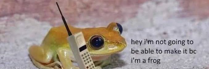 frogy 🐸 banner