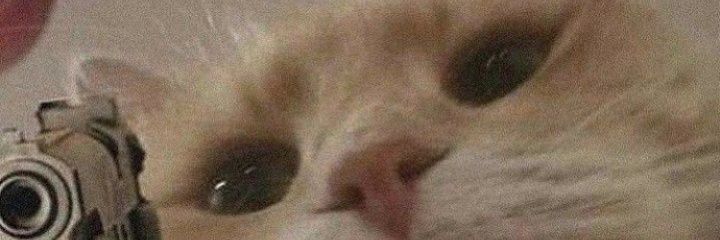 ariesgurl07's profile banner image
