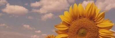tgctn's profile banner image
