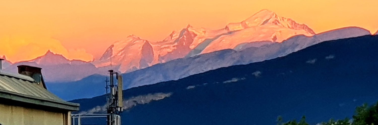 Anna Jankowska banner