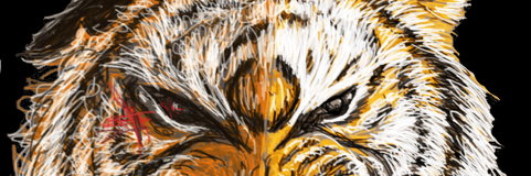 Snaggletunes's profile banner image