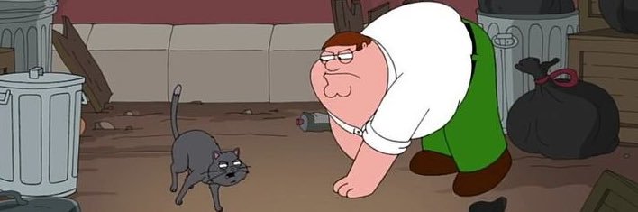 meowmei🐾's banner