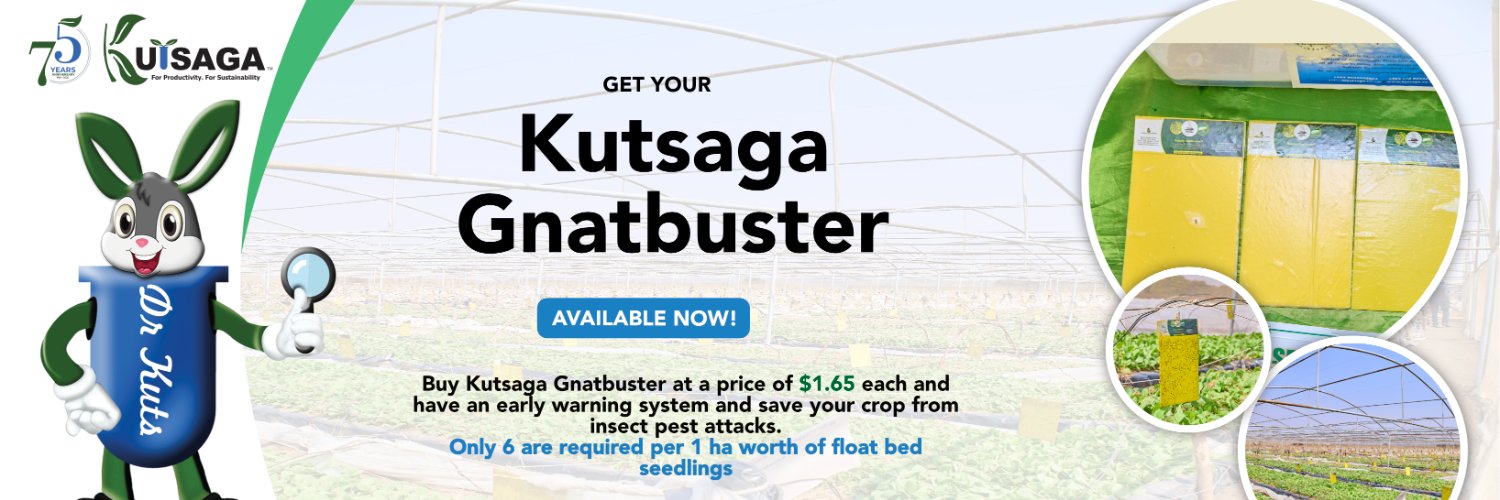 Kutsaga Research banner