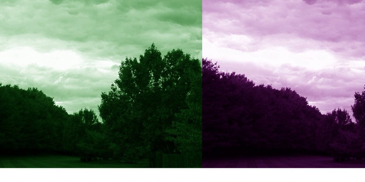 Ross1001's profile banner image