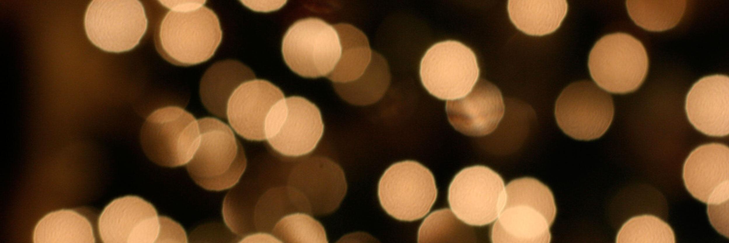MeghannAugustus's profile banner image