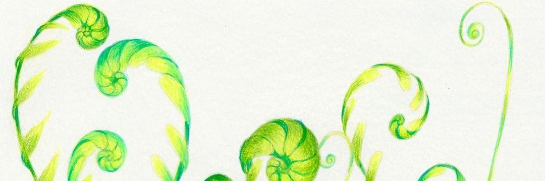 rassyrad's profile banner image