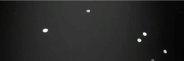 ringmylinee Profile Banner