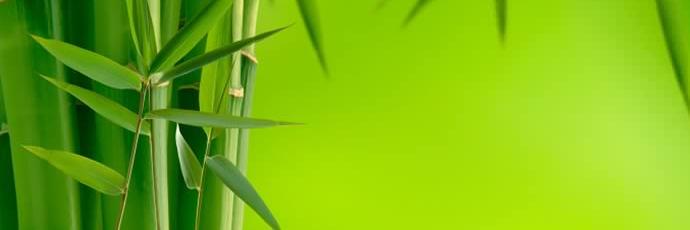 gdevsag's profile banner image