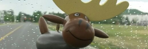 DunrobinJohn's profile banner image