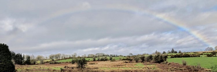 Ciara O'Neill banner