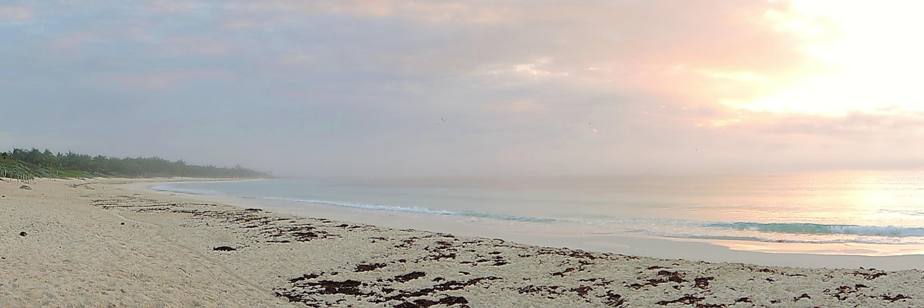 luengas's profile banner image