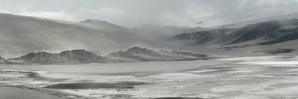 AmedeaPerfumo Profile Banner