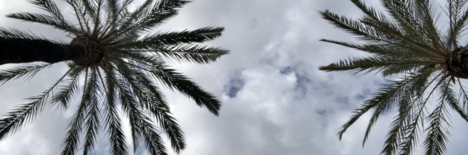 vero_vore's profile banner image